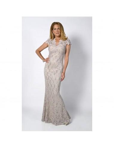 Frank Lyman champagne lace dress, size 6 & 14, NEW WITH TAGS! Vous souhaitez 