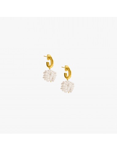 rose bush earrings destockage